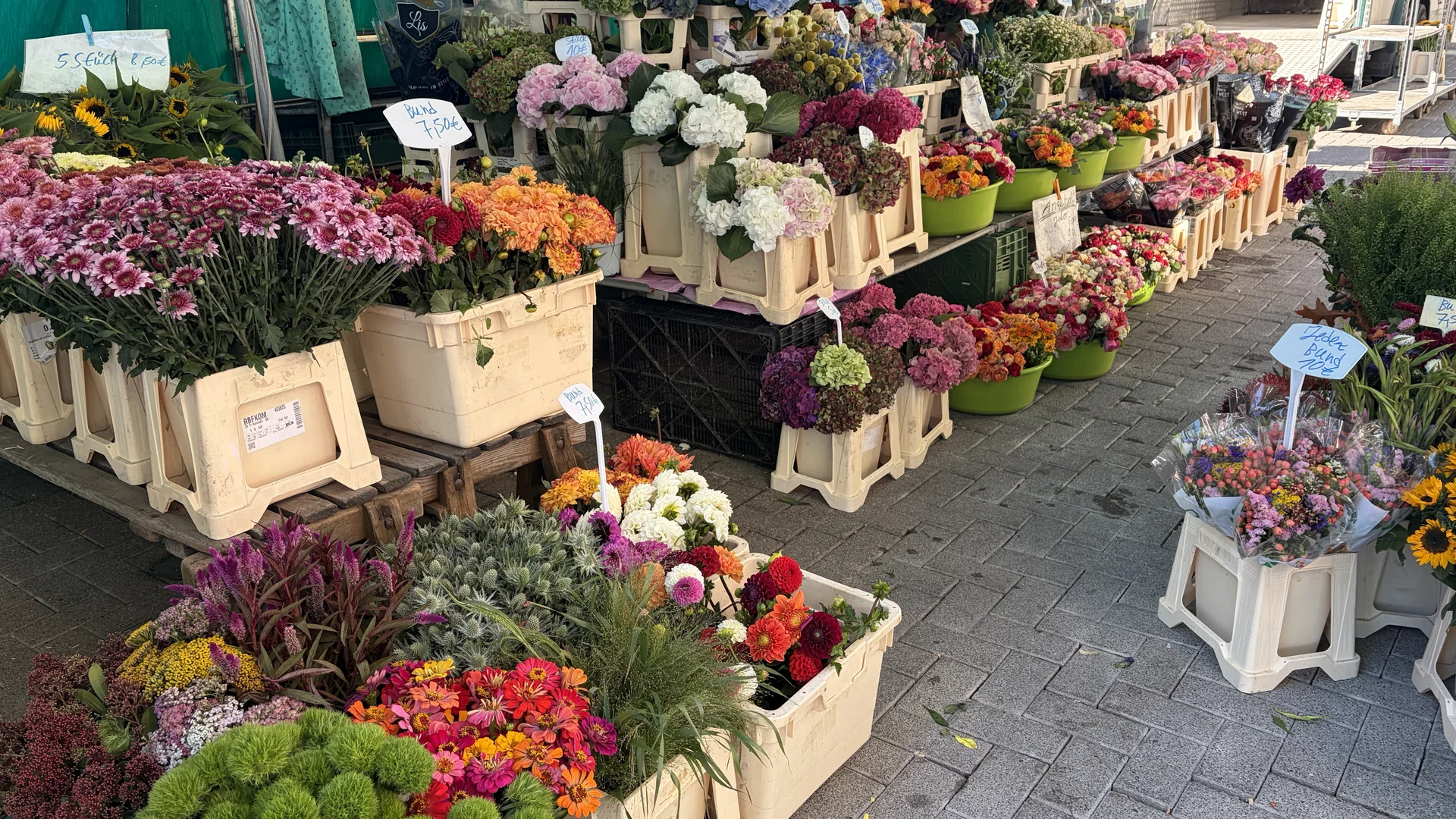 Bunte Schnittblumen und Hortensien in der Auslage des Rosen-Bähr-Marktstands in Emmendingen Bürkle-Bleiche