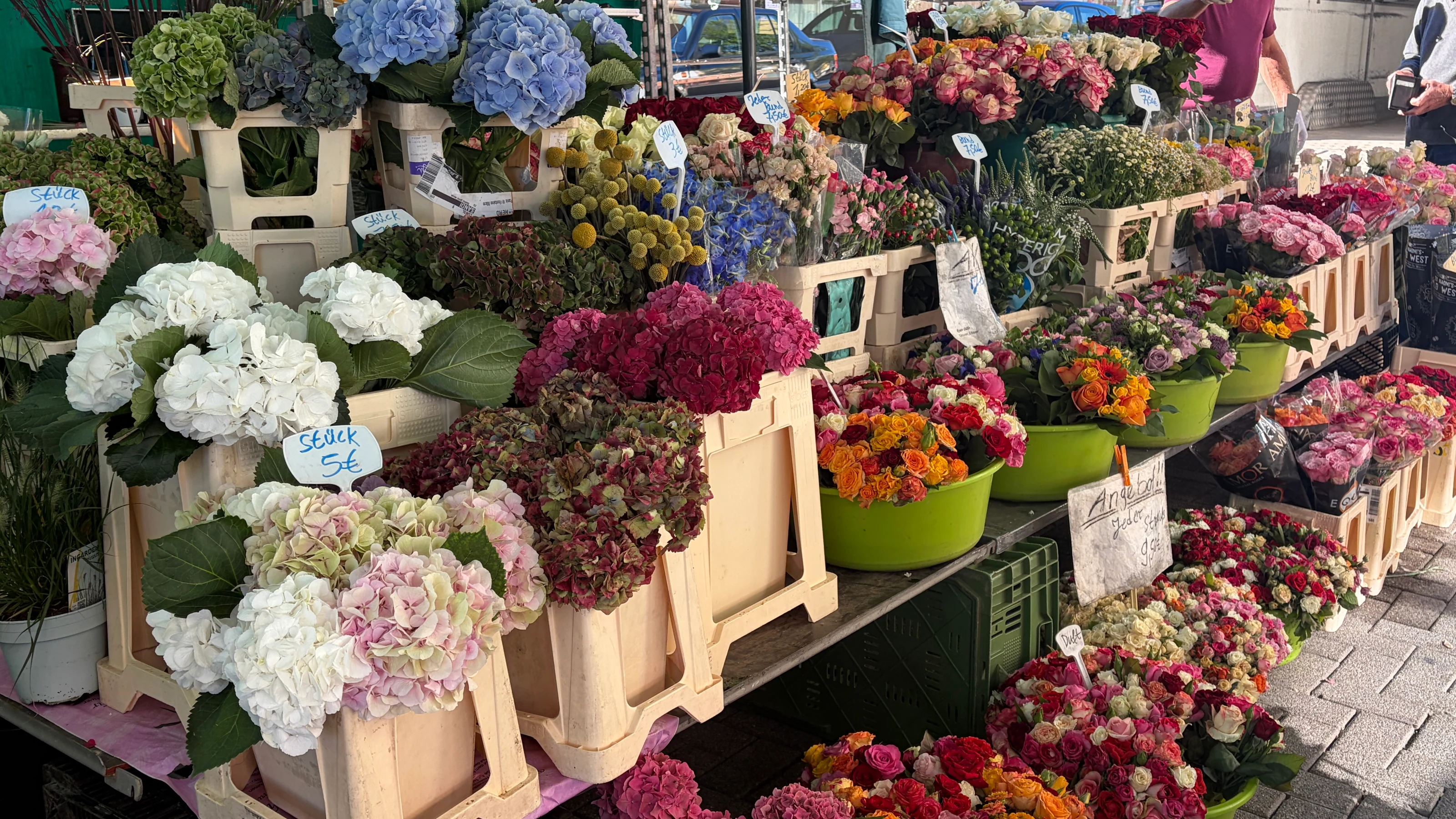 Weiße und rosa Hortensien neben bunten Sträußen am Marktstand in der Bürkle-Bleiche