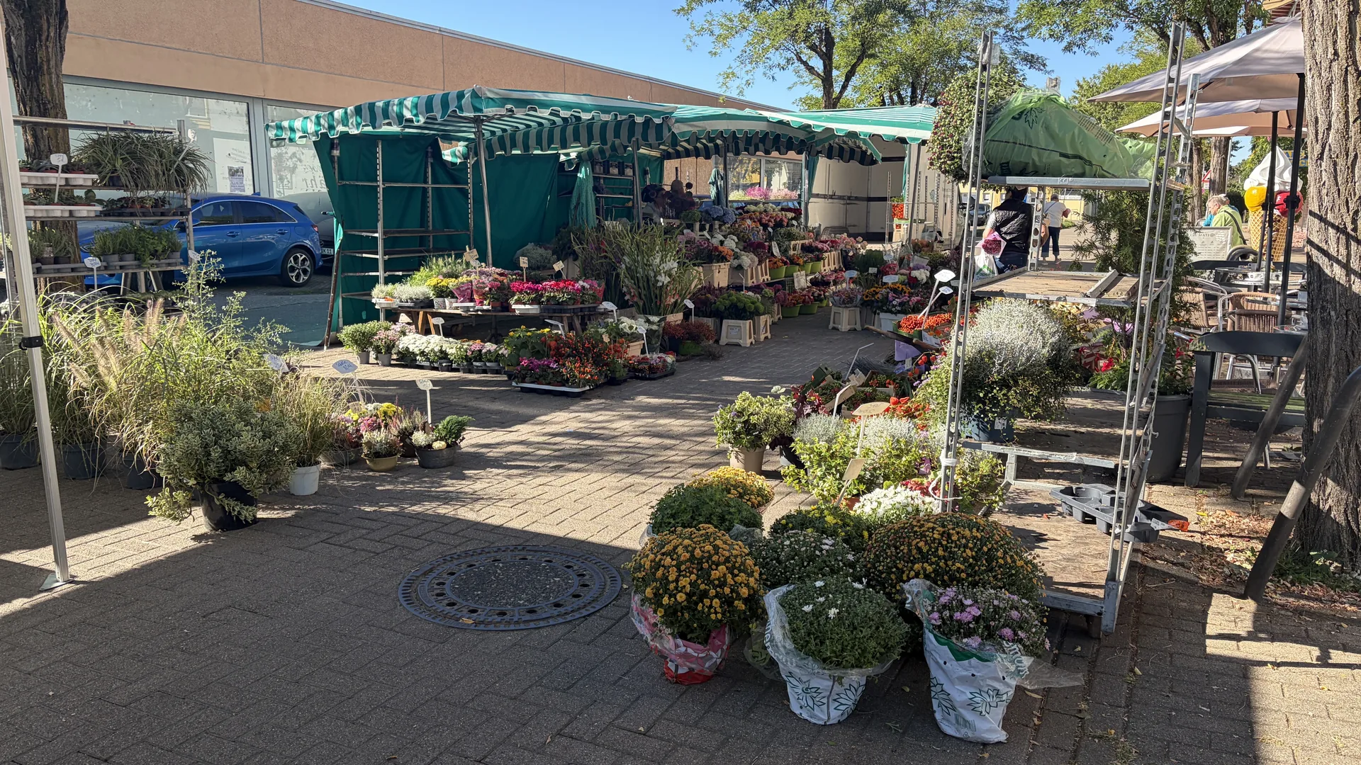 Rosen-Bähr-Marktstand mit grün-weißer Markise, Blumenauslage und Zugang in der Bürkle-Bleiche