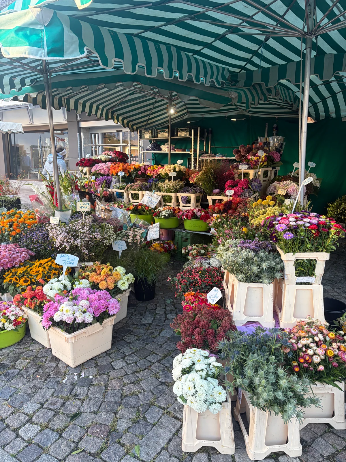 Rosen-Bähr-Blumenstand unter der gestreiften Markise auf dem Marktplatz in Emmendingen