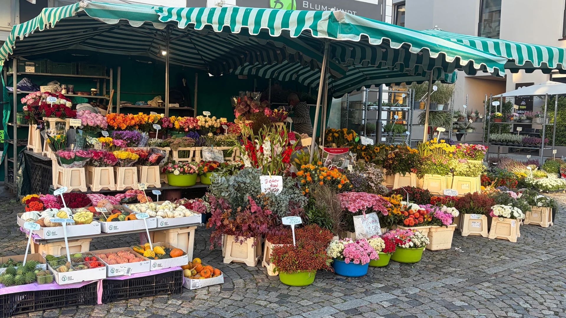 Blumenstand von Rosen Bähr mit grün-weißer Markise auf dem Marktplatz in Emmendingen
