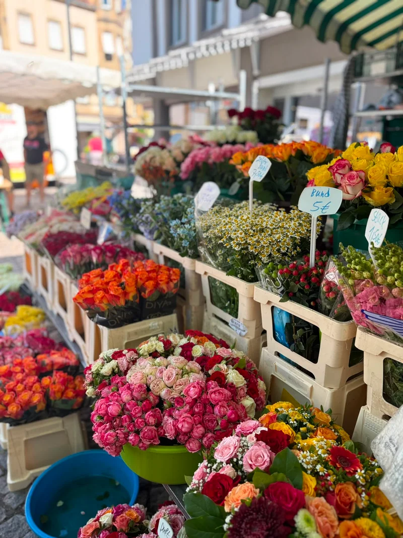 Blumen und Rosen in Kisten unter der Markise am Rosen-Bähr-Marktstand in Emmendingen