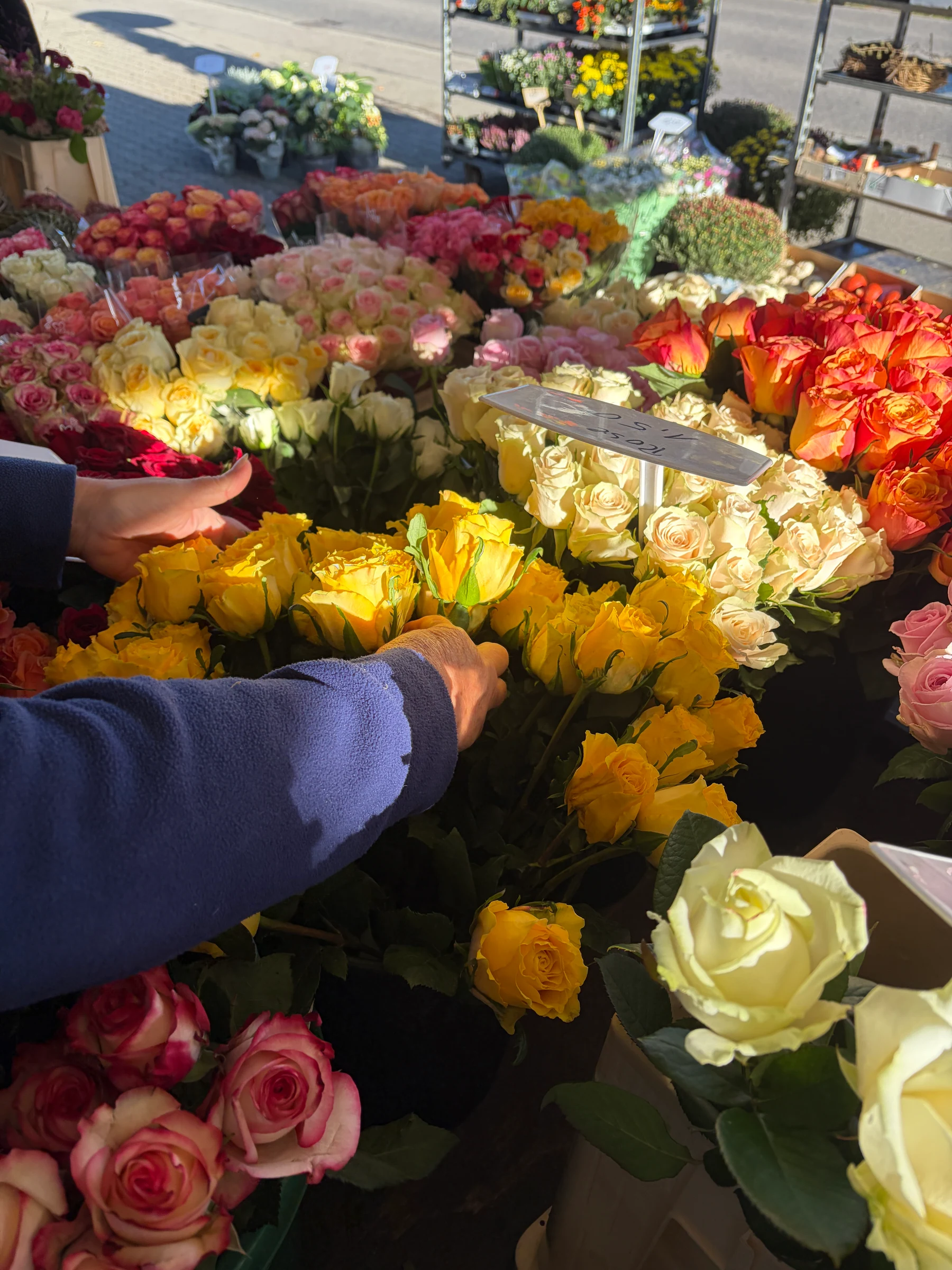 Auswahl bunter Schnittblumen und Rosen am Rosen-Bähr-Marktstand in Endingen