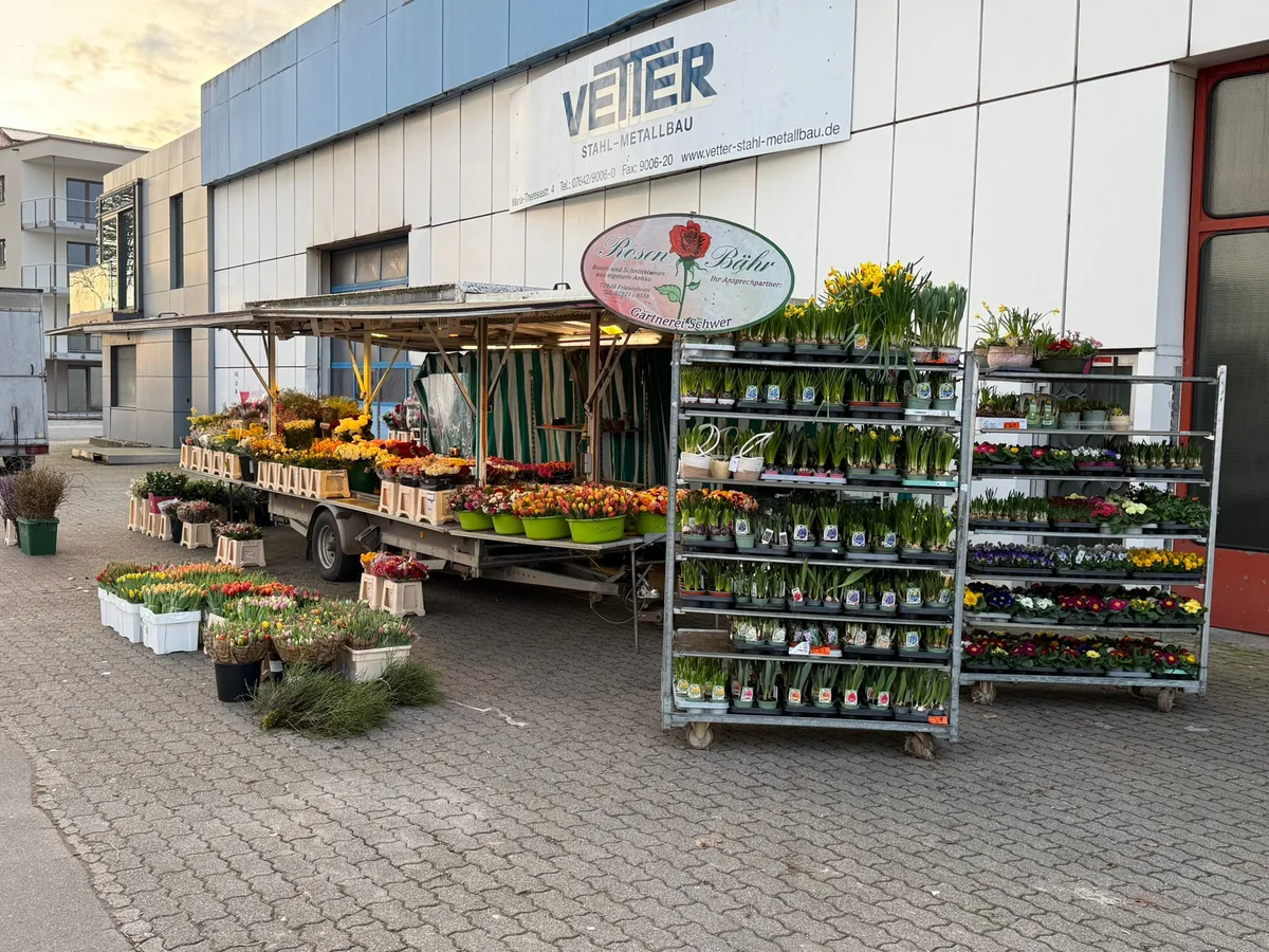 Rosen-Bähr-Marktstand in Endingen mit Schnittblumen und Topfpflanzen