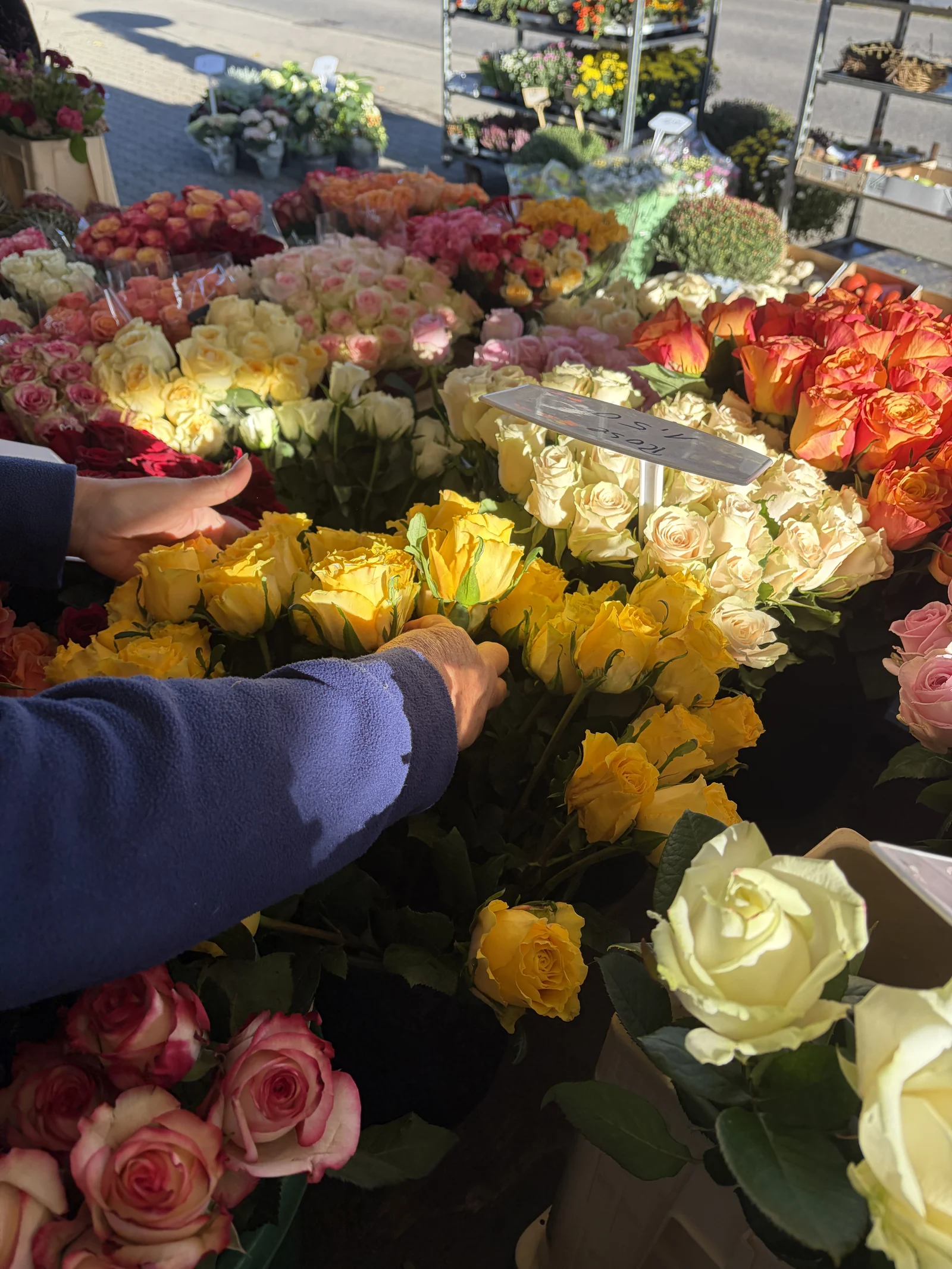 Hände bei der Auswahl frischer Rosen am Marktstand