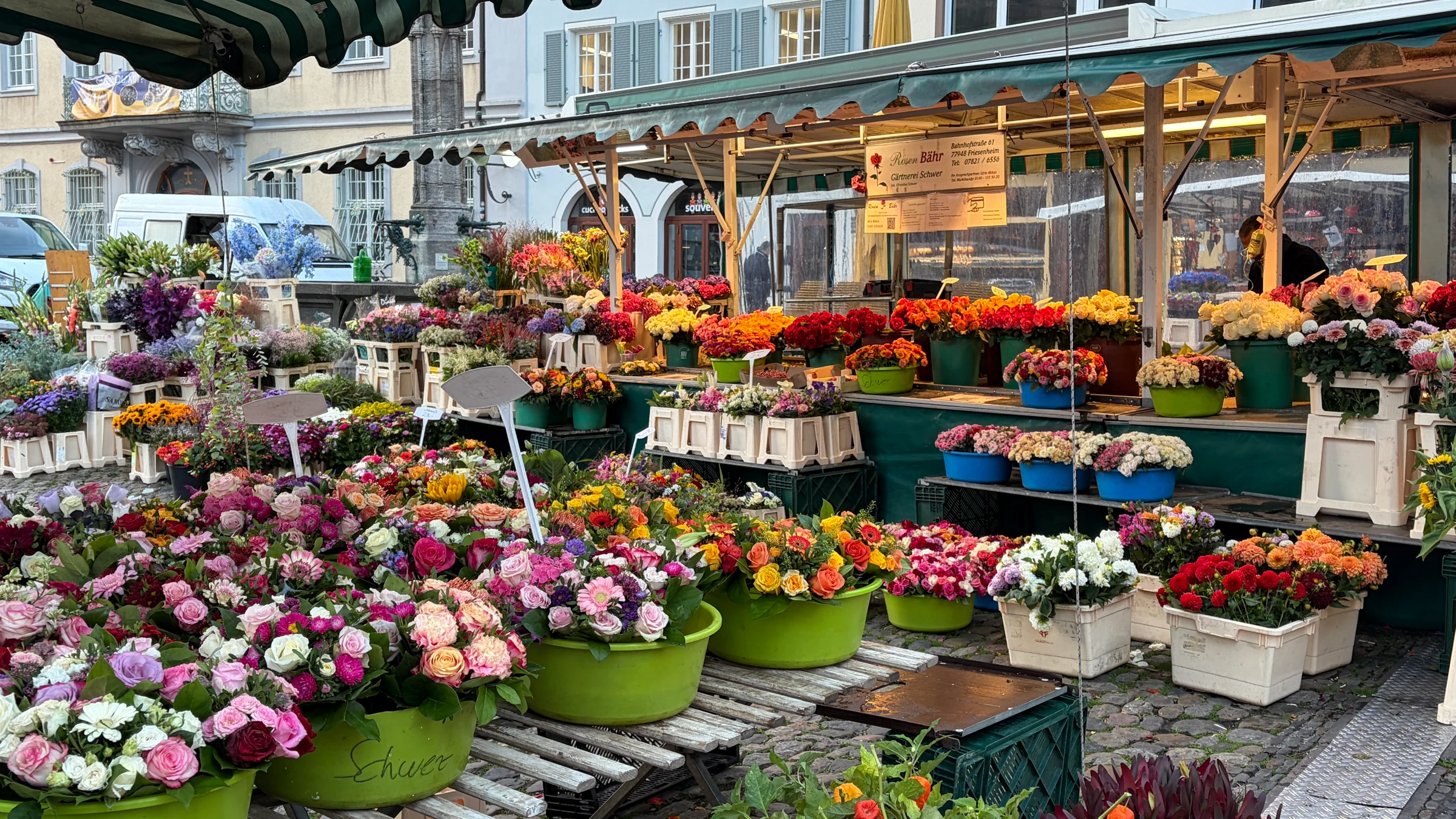 Farbenreiche Auslage mit Rosen, Gerbera und weiteren Schnittblumen am Rosen-Bähr-Stand auf dem Freiburger Münstermarkt