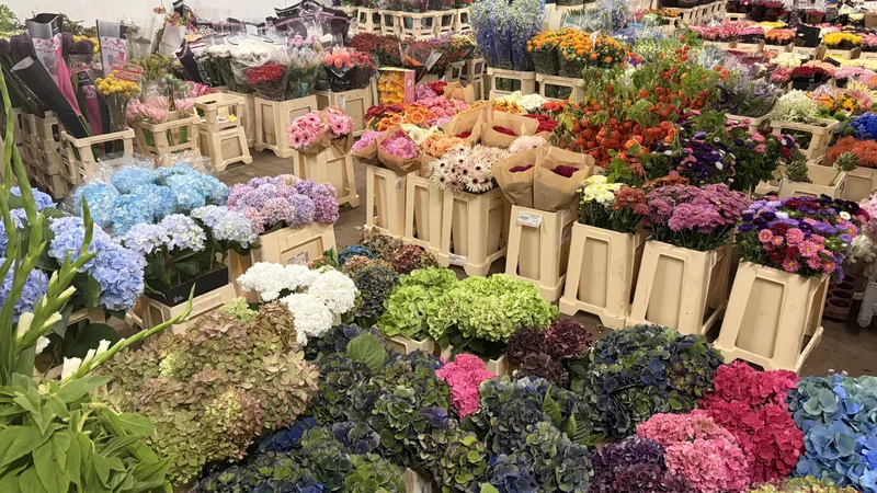 Große Auswahl frischer Schnittblumen und Hortensien im Kühlhaus
