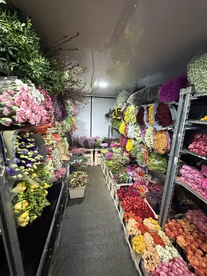 Mit Schnittblumen beladener Tourservice von Rosen Bähr in Südbaden