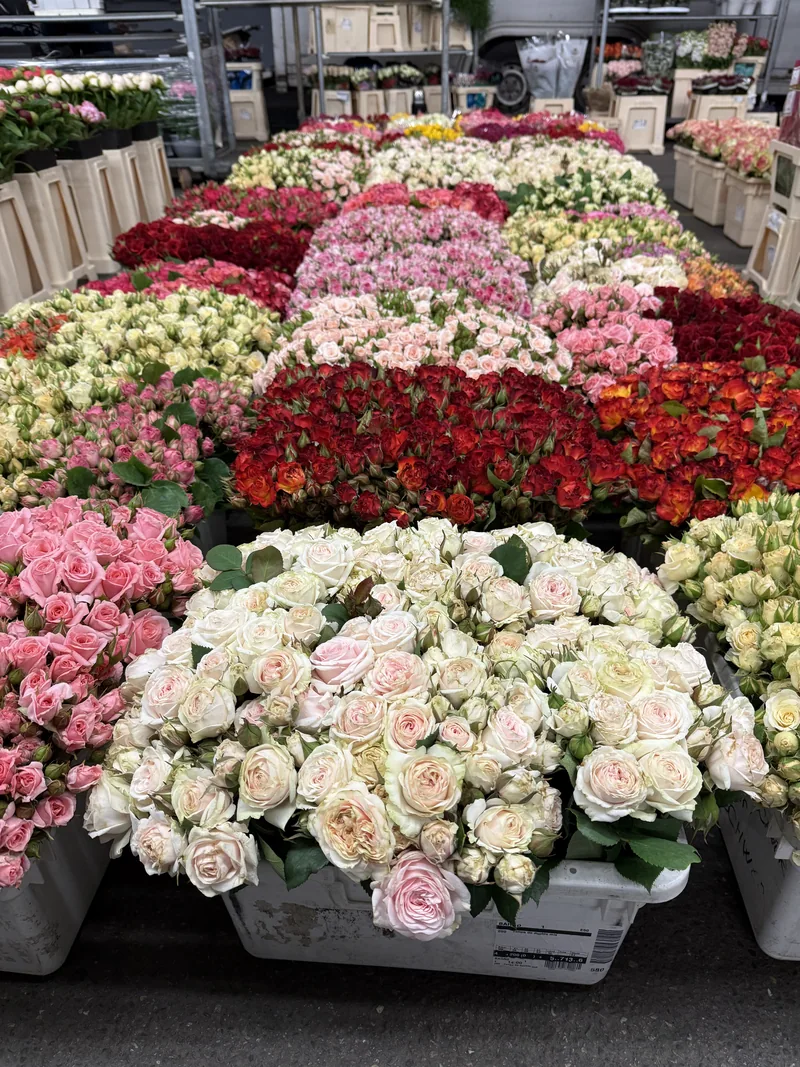 Rosen in verschiedenen Farben und Sorten in Warenkisten am Rosen-Bähr-Großmarktstand