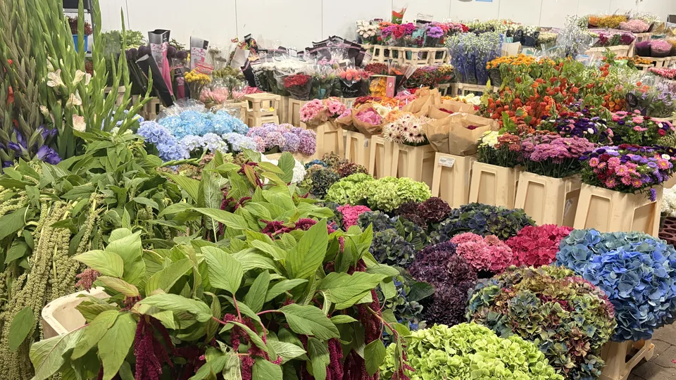 Schnittblumen in Blumenkisten und große Sortimentsauswahl im Großhandel Rosen Bähr
