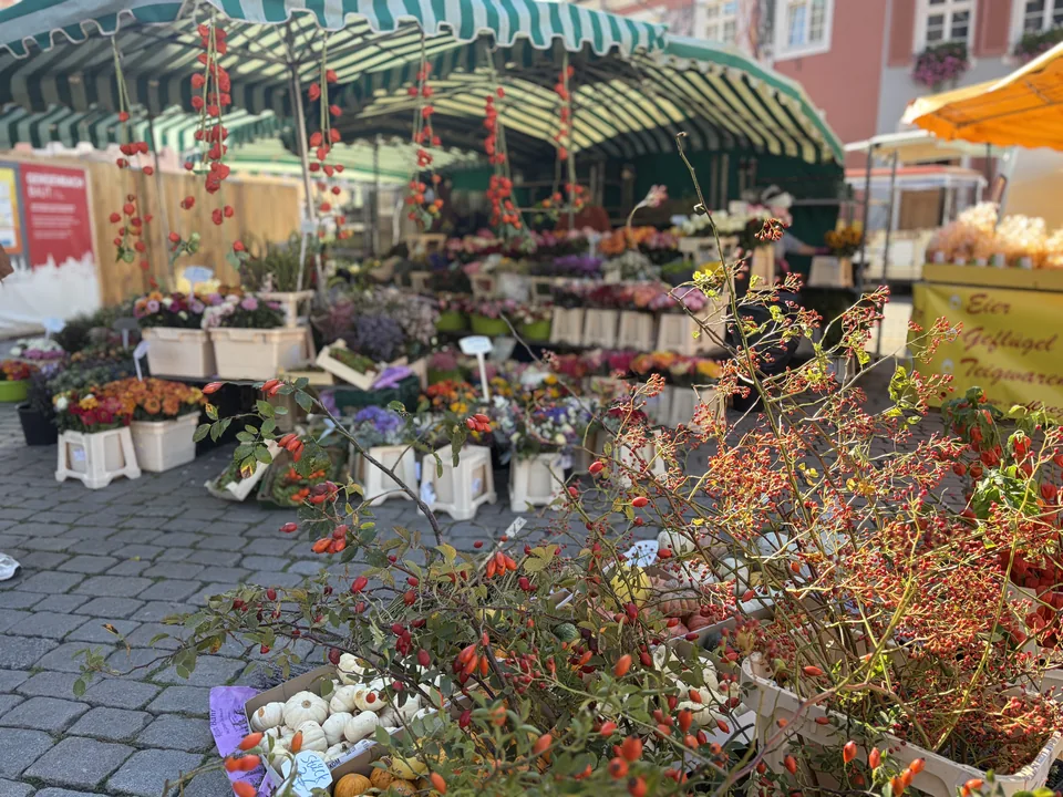 Rosen-Bähr-Marktstand mit grün-weiß gestreifter Markise und Hagebuttenzweigen im Vordergrund