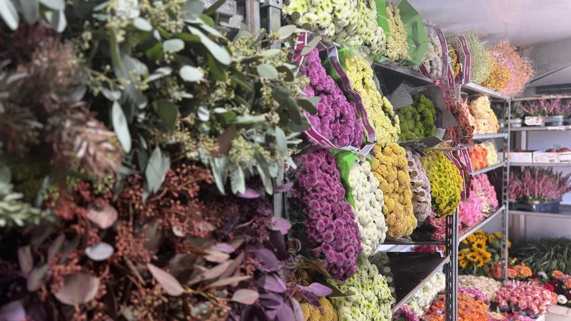 Auswahl frischer Blumen für den Tourservice in Südbaden