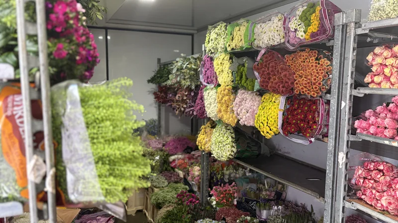 Frische Schnittblumen im Rosen-Bähr-Tourservice für Südbaden