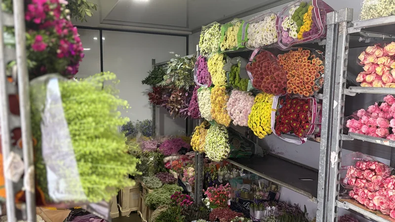 Große Auswahl frischer Schnittblumen im Tourservice von Rosen Bähr