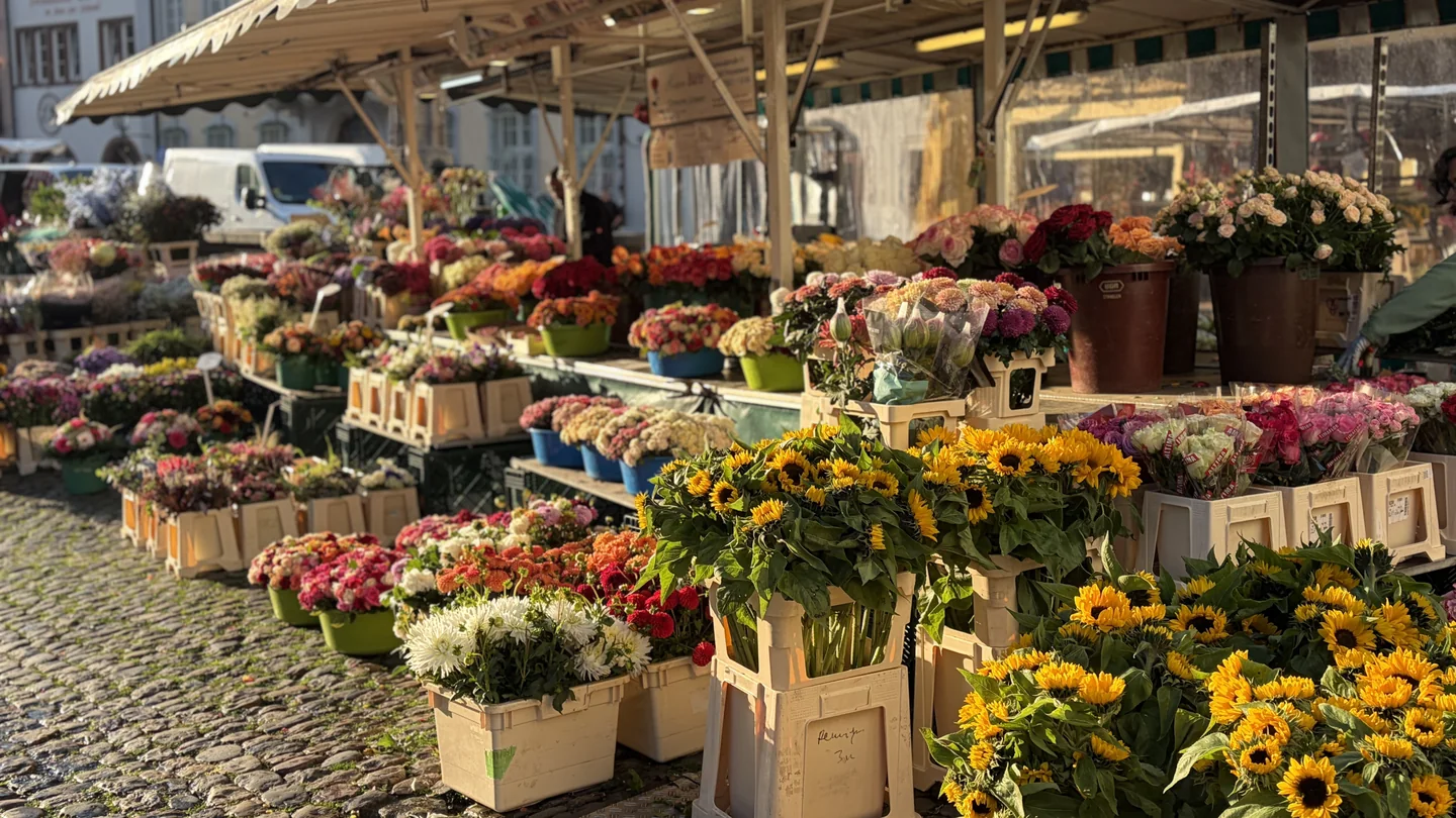 Rosen Bähr Blumenstand auf dem Freiburger Münsterplatz mit großer Auswahl an Schnittblumen