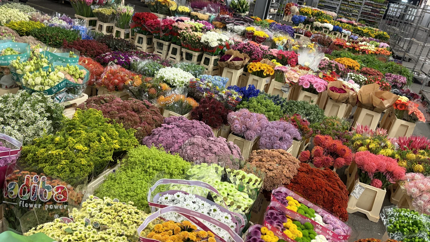 Große Auswahl an Schnittblumen in Handelskisten auf dem Rosen-Bähr-Großmarkt