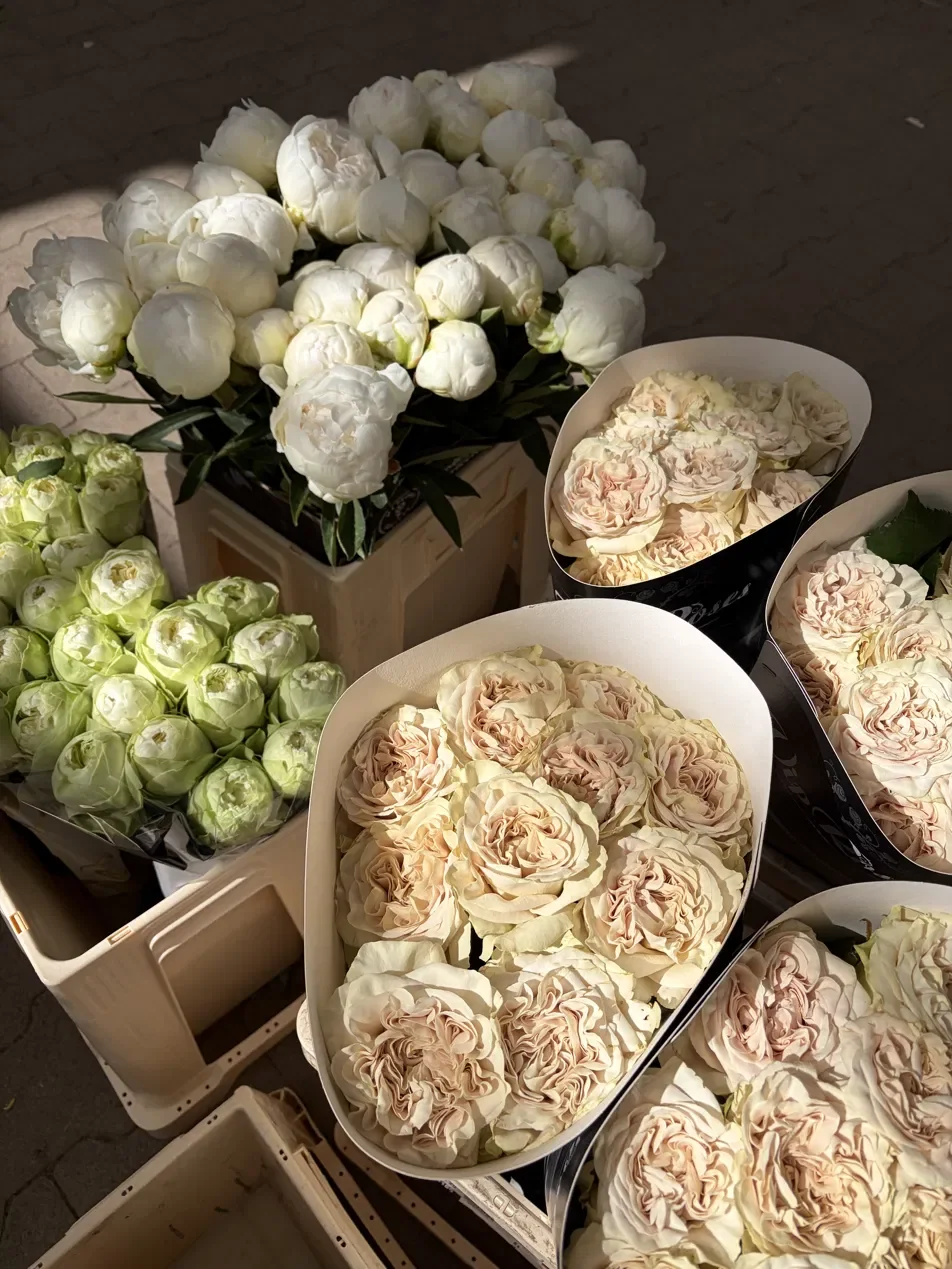 Weiße Pfingstrosen und cremefarbene Rosen im Schnittblumensortiment