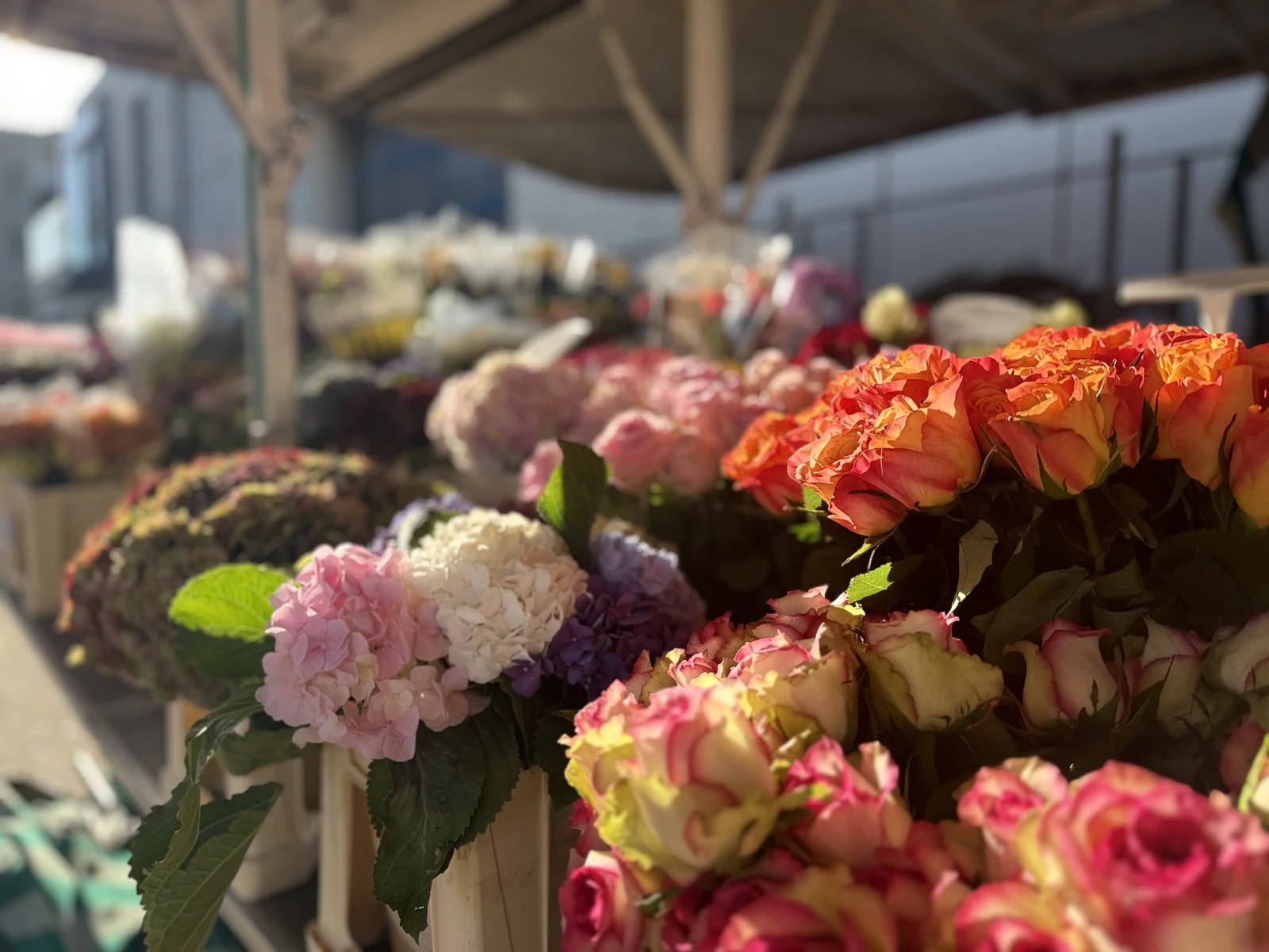 Orange Rosen, rosa Blüten und grüne Zierblumen in der Auslage eines Marktstands