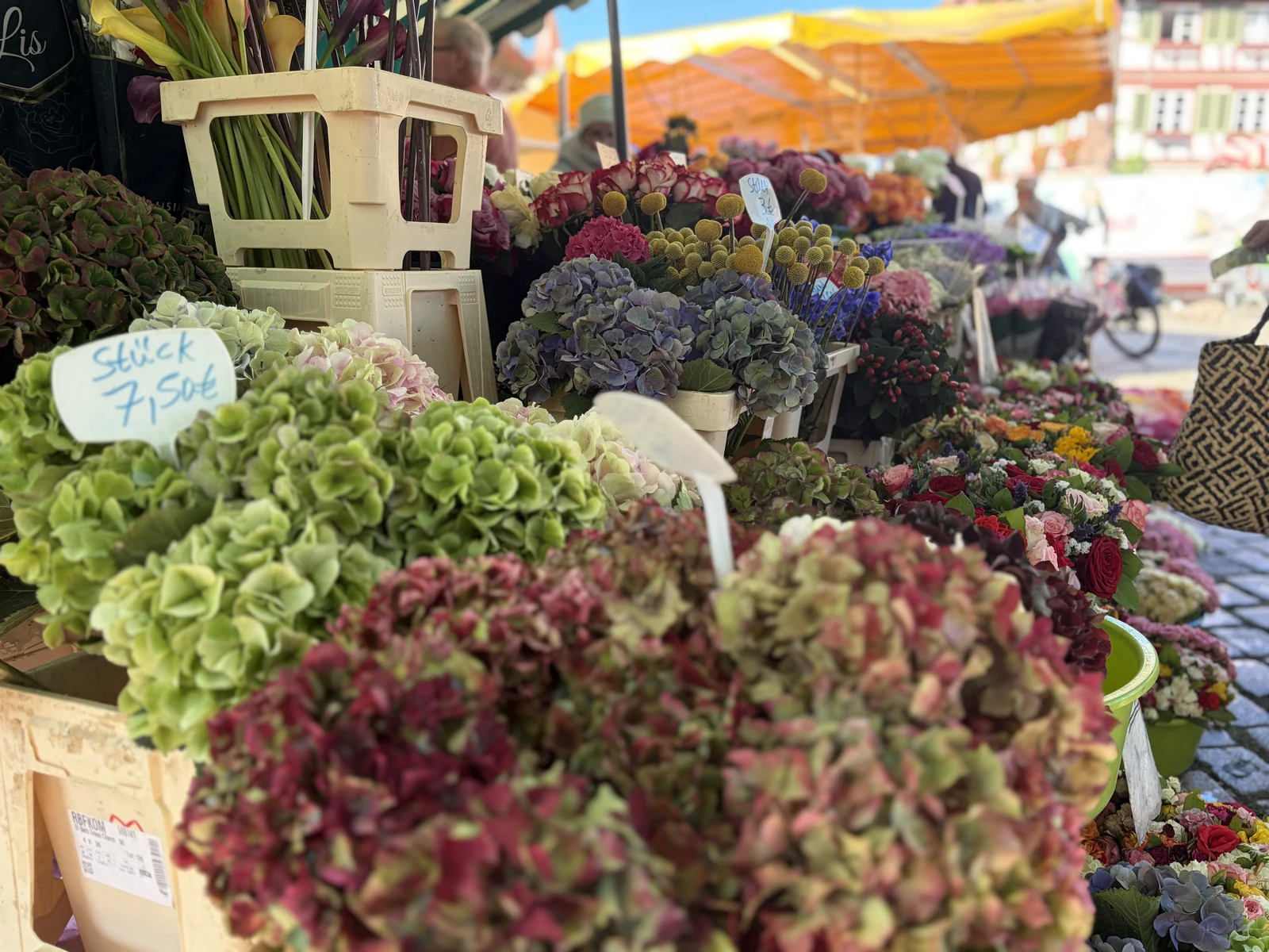 Grüne und rosa Hortensien vor weiteren Schnittblumen unter einer gelben Marktmarkise